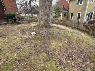 Cleanups by Fidel Rodriguez for Olivia d. in Arlington, VA