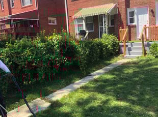 Bush Trimming by Daron Dudley for Layla S. in Washington, D.C., DC