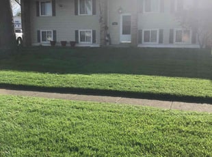 Alyssa M.'s Lawn Mowing Service service result