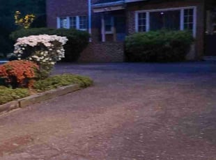 Leaf Removal by Jose Gonzalez for Mabel S. in Silver Spring, MD