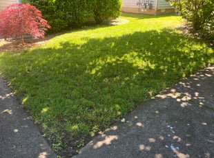 Tim M.'s Lawn Service service result