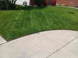 Chris V.'s Lawn Mowing Service service result