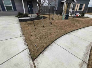 Keisha D.'s Lawn Service service result