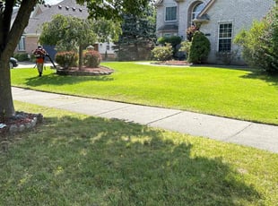 Kathryn B.'s Lawn Mowing service result