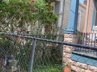 Bush Trimming by Michael Ventry for Angela T. in New Orleans, LA