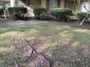 Cleanups by Ana Zelaya for Daniel C. in Houston, TX