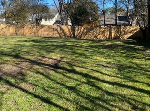Leaf Removal by Daniel Reyes for Aja P. in Charlotte, NC