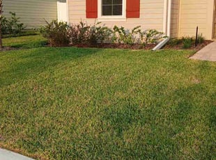 Zoribeth M.'s Grass Cutting service result
