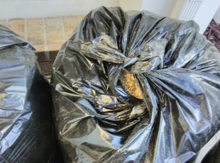 Cleanups by William Garcia for Chris m. in 15, Huntersville, NC