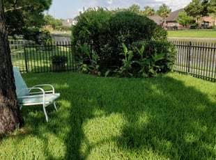 Bush Trimming by Eric Benitez for April L. in Houston, TX
