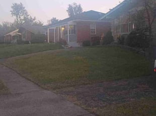 shaila r.'s Grass Cutting service result