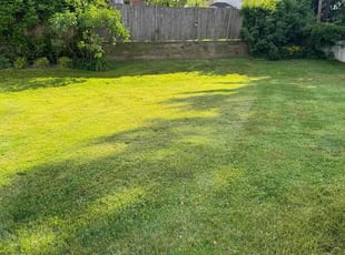 Cleanups by Leo Cannon for Sam G. in Abington, PA