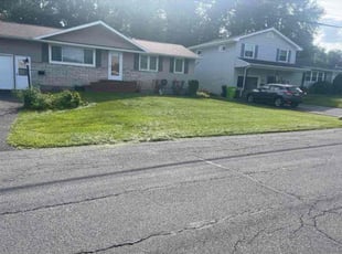 Lorraine P.'s Lawn Mowing service result
