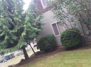 Katlin Z.'s Cleanups service result