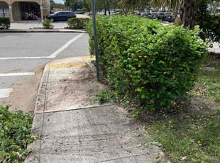 Bush Trimming by Charles Walton for Nicole M. in Lake Worth Beach, FL