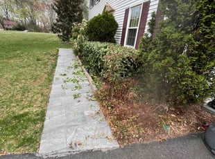 Bush Trimming by Alesandre Duarte for Thanaphon T. in Reston, VA