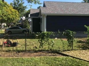 Landscaping by Schadrac Sainvil for Shane R. in Indianapolis, IN
