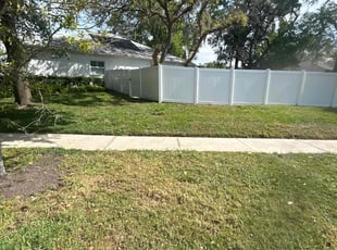 Leaf Removal by Ramon Taguja for Sean R. in Valrico, FL
