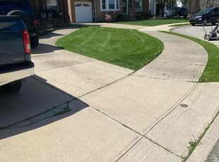 Dominique M.'s Lawn Service service result