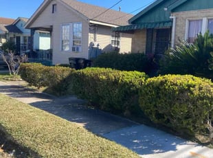 Bush Trimming by James Rayford for Jeffrey W. in New Orleans, LA