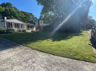 Jesus S.'s Lawn Care service result