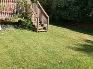 Terry V.'s Lawn Care service result
