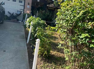 Bush Trimming by Samson Perez for Mary H. in San Antonio, TX