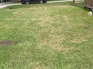 Julianne R.'s Lawn Mowing service result
