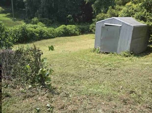 Bush Trimming by Ben Bolin for Elizabeth G. in Gastonia, NC