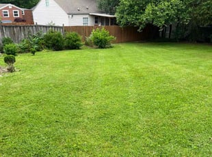 Susan M.'s Lawn Mowing Service service result