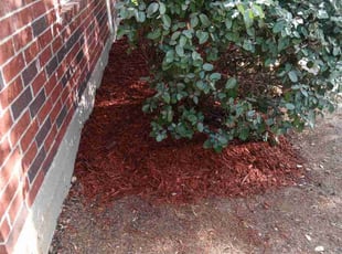 Mulching by Omar Norris for Belicia N. in Katy, TX