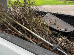 Cleanups by Matson Courrier for BARNETT P. in Minneapolis, MN