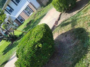 Shane T.'s Flower Bed Weeding service result