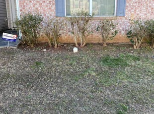 Bush Trimming by Nathaniel Stanley for Gopinathan S. in Fairburn, GA