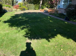 Bush Trimming by Joseph Fullner for John A. in Steilacoom, WA