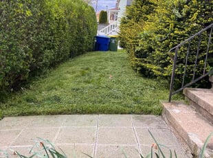 Bush Trimming by Sean Barton for Jen K. in Waterbury, CT