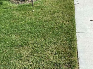 Andrea R.'s Lawn Maintenance service result