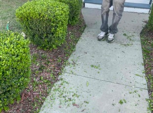 Bush Trimming by Curtis Stewart for Madison H. in Little Rock, AR