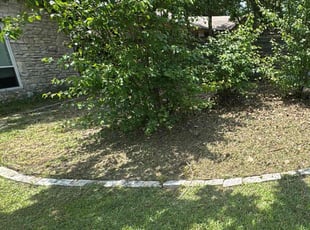Cye S.'s Flower Bed Weeding service result