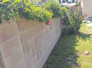 Bush Trimming by Juan Gomez for UNEKI B. in Los Angeles, CA