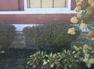 Bush Trimming by Caleb Patton for Meredith T. in Cincinnati, OH