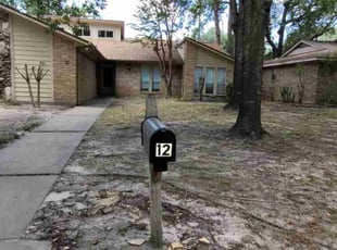 Leaf Removal by Linda Jones for Beth L. in Conroe, TX