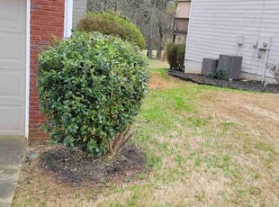 Bush Trimming by Reginald Rosser for Charlene W. in Douglasville, GA