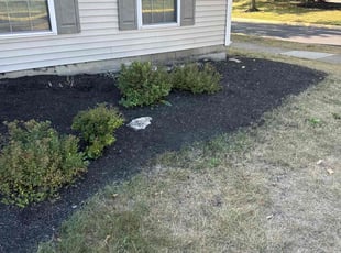 Weeding by Shaun Wojcichowsky for Susan P. in Columbus, OH