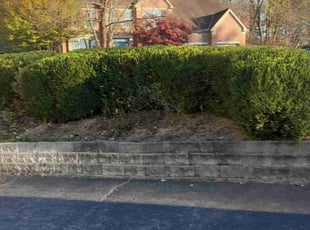Bush Trimming by Caleb Patton for Brandon A. in Cincinnati, OH
