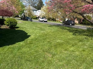 Jason B.'s Lawn Care service result