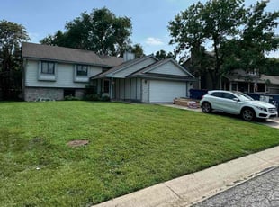 Doug S.'s Lawn Mowing service result