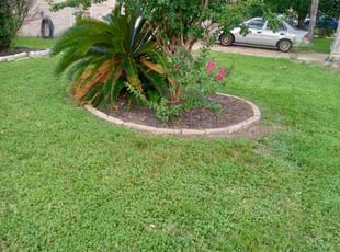 Weeding by Donovan Perry for Roland . in Houston, TX
