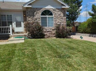 Bush Trimming by Johnny Hines for Mike H. in Aurora, CO
