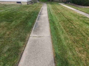 Barbara K.'s Yard Cutting service result